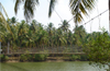 Swarna catchment waters have  reached  Mane Bridge